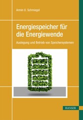 Energiespeicher für die Energiewende - Auslegung und Betrieb von Speichersystemen